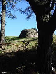 Jakunówko. Diabelski Kamień.Fot. Eume. Źródło: Commons Wikimedia [21.07.2014]
